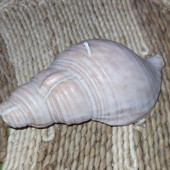 Candle Factory Other - Candle Factory conch shell NWOT